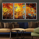 Forest View at Fall Wall Art Autumn Colors Landscape Canvas by MyGreatCanvas | Canvas Wall Art Prints | Photo Prints & Wall Decor