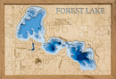 Forest (Washington)