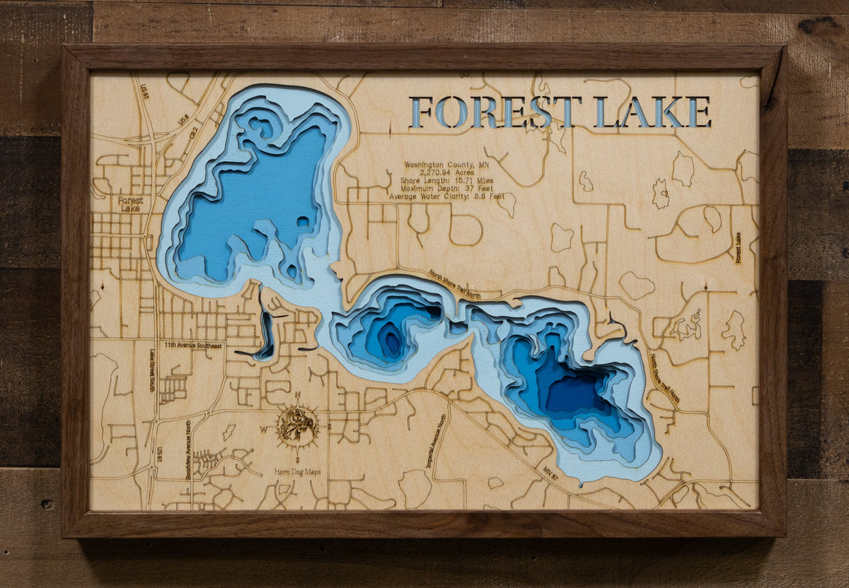 Forest (Washington), photo 2 of 3