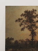 Forest At Dawn