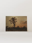 Forest At Dawn