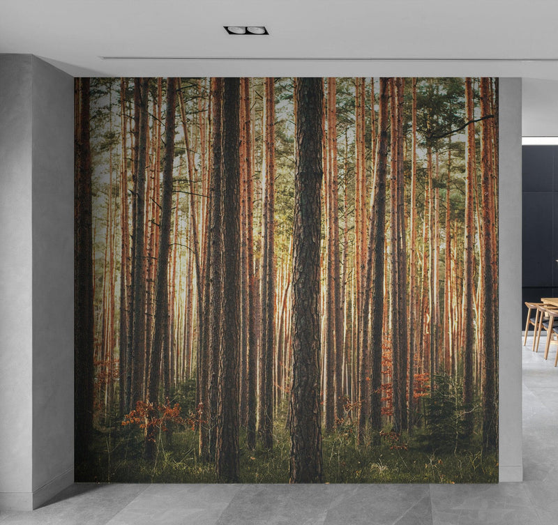 Forest Wallpaper Mural. Woodland Country Theme / Farmhouse Wall Decor.