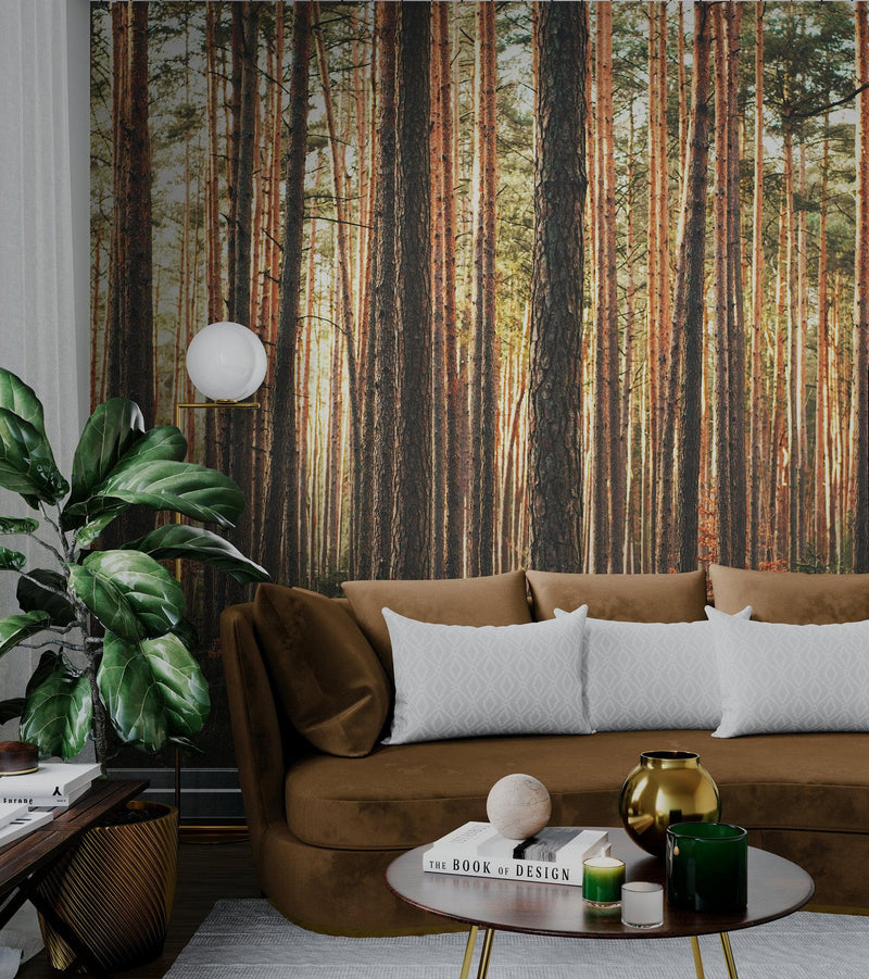 Forest Wallpaper Mural. Woodland Country Theme / Farmhouse Wall Decor.