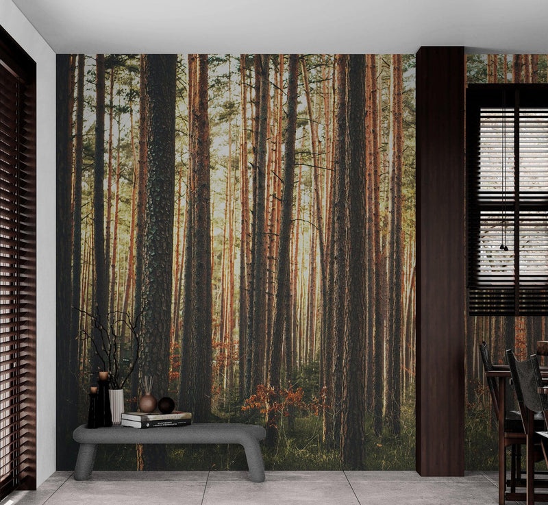 Forest Wallpaper Mural. Woodland Country Theme / Farmhouse Wall Decor.