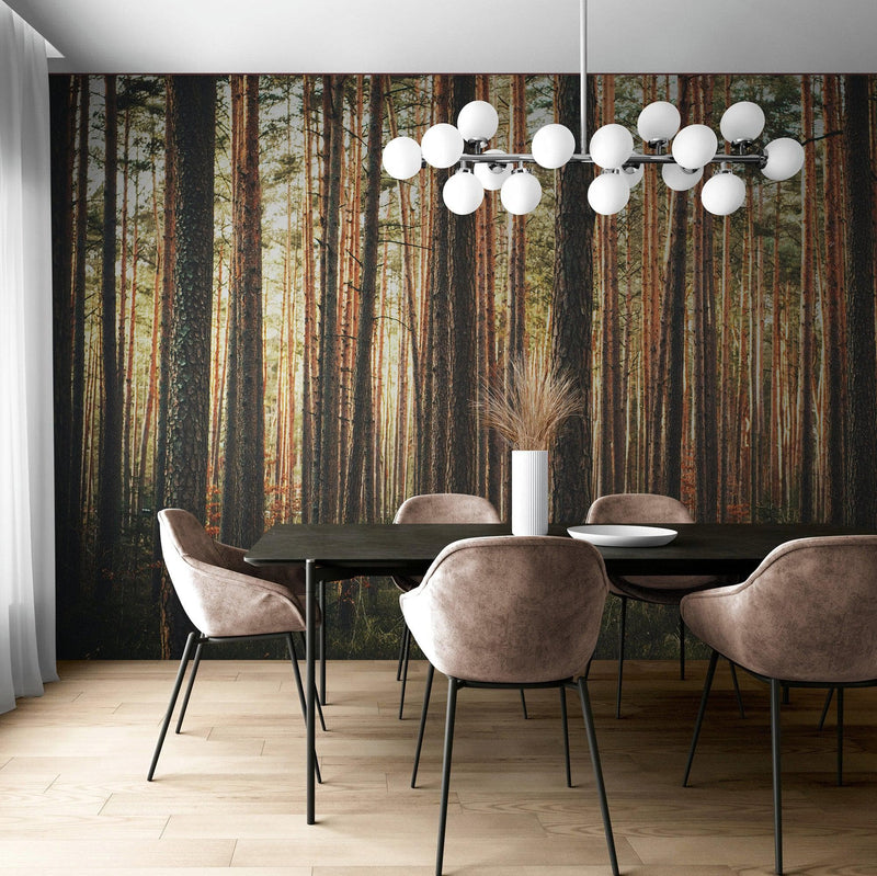 Forest Wallpaper Mural. Woodland Country Theme / Farmhouse Wall Decor.