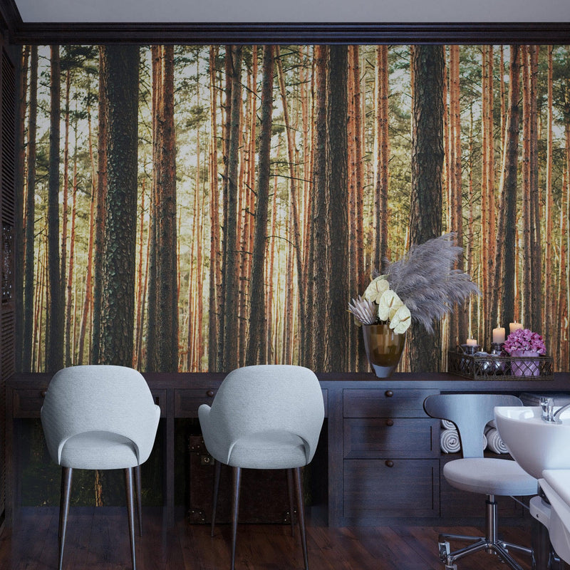 Forest Wallpaper Mural. Woodland Country Theme / Farmhouse Wall Decor.