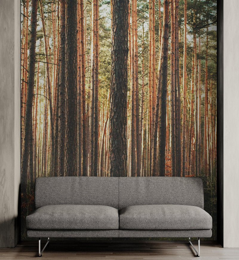 Forest Wallpaper Mural. Woodland Country Theme / Farmhouse Wall Decor.