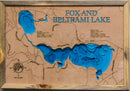 Fox and Beltrami (Beltrami)