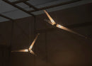 Fragment 10 Pendant Light