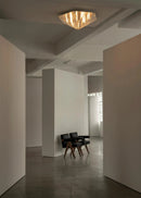 Fragment ceiling Lamp
