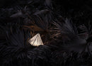 Fragment Table Lamp
