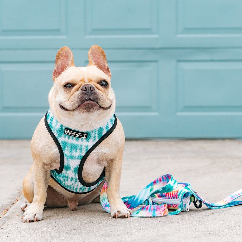 Frenchie Duo Reversible Harness - Tie Dye