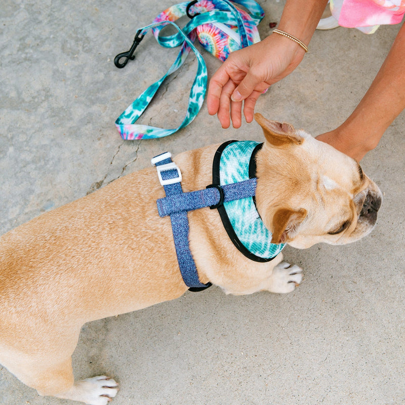 Frenchie Duo Reversible Harness - Tie Dye