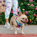 Frenchie Duo Reversible Harness - Tie Dye