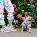Frenchie Duo Reversible Harness - Tie Dye