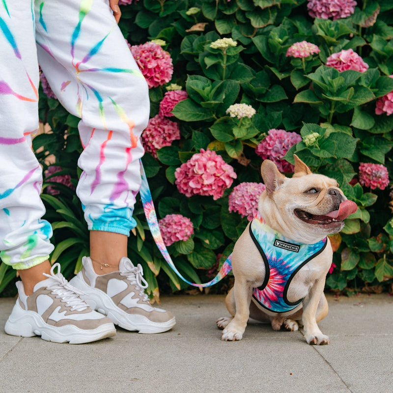 Frenchie Duo Reversible Harness - Tie Dye