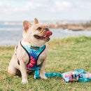 Frenchie Duo Reversible Harness - Tie Dye