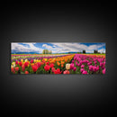 Panoramic Print of Tulip Fields of Skagit Valley Extra Large Wall Art, Panoramic Wall Art, Panoramic Landscape Print, Landscape Photography