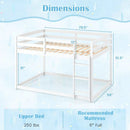 Full Over Full Bunk Bed with Ladder and Safety Guardrails by DirectDeals