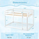Full Over Full Bunk Bed with Ladder and Safety Guardrails by LJGDeals