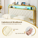 Twin/Full/Queen Size Bed Frame with LED Lights and Charging Station Gold-Full Size