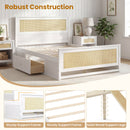 Full Size Rattan Bed Frame with Storage Drawers