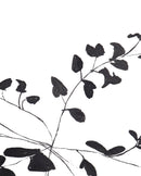 Ink Botanical