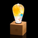 EP Light - Garden by EP Designlab LLC
