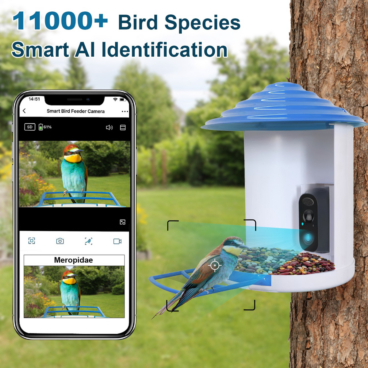 Smart Bird Feeder with Solar Powered Camera 1080P HD AI Identify PIR Motion Auto Capture Video Cloud Card Storage WiFi Connection App Control IP65 Wat, photo 3 of 14