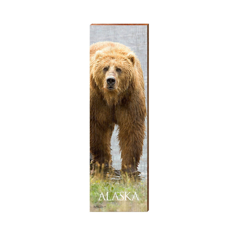 Alaska Grizzly Bear | Wall Art Print on Real Wood