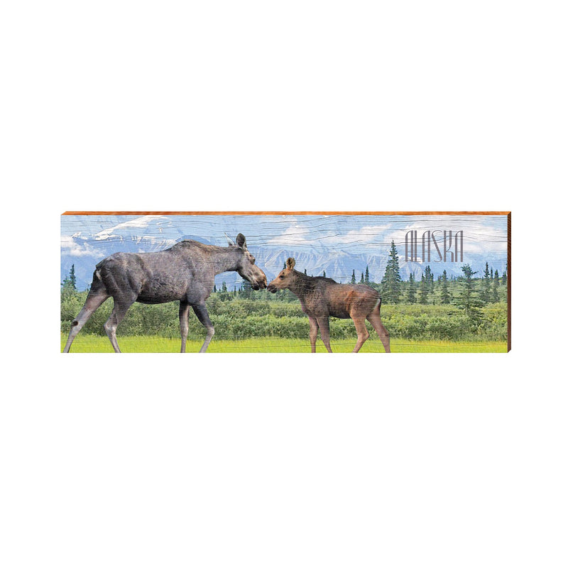 Alaska Moose with Calf | Wall Art Print on Real Wood