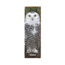 Alaska Owl | Wall Art Print on Real Wood