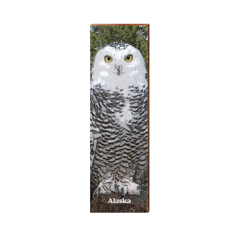 Alaska Owl | Wall Art Print on Real Wood