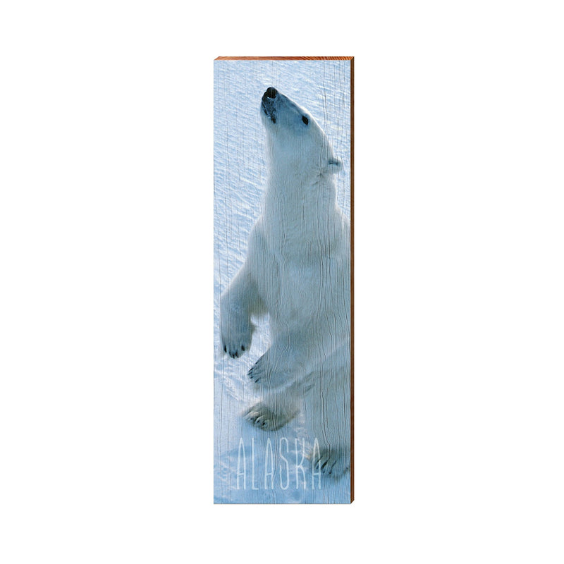 Alaska Polar Bear | Wall Art Print on Real Wood