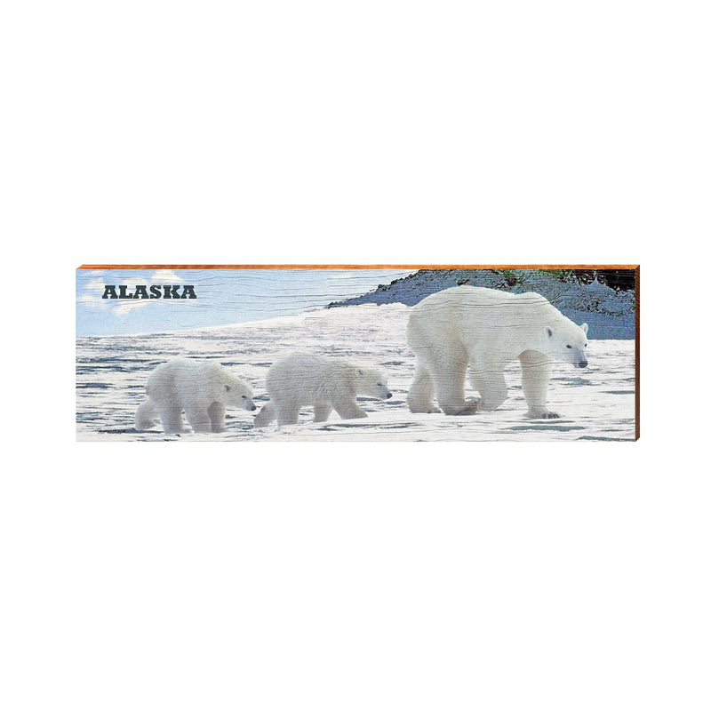 Alaska Polar Bear | Wall Art Print on Real Wood