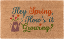Hey Spring, How's it Growing?