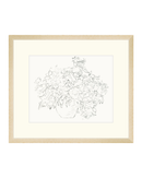 Vase of Flowers Sketch