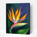 Flower Bird of Paradise