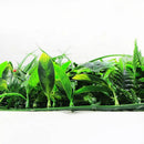 Sample Panel – Green Tropics Vertical Garden (Small Sample) by Designer Plants USA