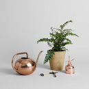 Terracotta Studio Planter, Greenwash