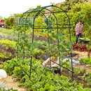7.5 Feet Garden Arch Trellis with PE Coated Metal Structure by LJGDeals