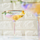 Iridescent Colored Gilded Rim Coupe Glass 2 Set Large 9OZ Rainbow Cocktail Champagne Luster Pearl Gl by The Wine Savant