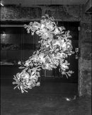 Gingko Ceramic Chandelier F