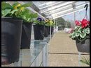 Janco Shelves 4 bays (one side) by Janco greenhouse