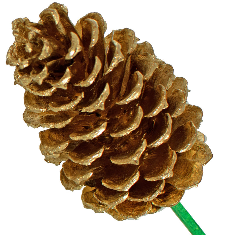 Gold Pine Cones