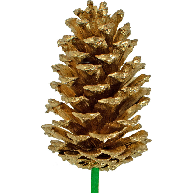 Gold Pine Cones