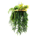 Artificial Hanging Plant Chandelier – Draping Fern Circular Ring (31.5in) Gold Frame – UV Resistant