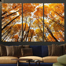 Golden Autumn Forest Wall Art Canvas Print – Framed Vibrant by MyGreatCanvas | Canvas Wall Art Prints | Photo Prints & Wall Decor