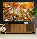 Golden Autumn Forest Wall Art Canvas Print – Framed Vibrant by MyGreatCanvas | Canvas Wall Art Prints | Photo Prints & Wall Decor