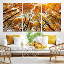 Golden Autumn Forest Wall Art Canvas Print – Framed Vibrant by MyGreatCanvas | Canvas Wall Art Prints | Photo Prints & Wall Decor